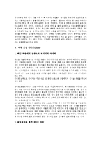 [미국기업][미국][기업][3M][월트 디즈니][질레트]미국 기업 3M(쓰리엠), 미국 기업 월트 디즈니(Walt Disney), 미국 기업 질레트(Gillette), 미국 기업 리바이스(Levi`s), 미국 기업 나이키(Nike) 분석-9
