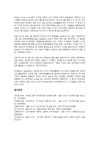 [월트 디즈니][디즈니][마케팅][라이온킹]월트 디즈니(Walt Disney)의 역사, 월트 디즈니(Walt Disney)의 마케팅방식, 월트 디즈니(Walt Disney)의 라이온킹, 월트 디즈니(Walt Disney)의 테마파크 분석-7