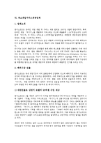 [중소업체][중소영세업체][중소소프트웨어개발업체][중소자동차부품업체][중소건설업체]중소영세업체, 중소소프트웨어개발업체, 중소자동차부품업체, 중소건설업체, 중소제조업체, 중소게임서비스제공업체 분석-11