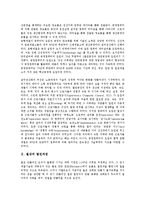 [철강][철가 발전과정][철강 원료][철강 공정]철강의 발전과정, 철강의 원료, 철강의 공정, 철강부문 기업 포스코(POSCO, 포항제철), 철강부문 기업 금강고려화학(KCC), 철강부문 기업 삼미종합특수강 분석-3