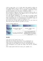 [컨소시엄][컨소시엄 개념][컨소시엄 의의][컨소시엄 직업훈련][컨소시엄 여행업][직업훈련][여행업]컨소시엄의 개념, 컨소시엄의 의의, 컨소시엄의 직업훈련, 컨소시엄의 여행업 분석(컨소시엄, 컨소시엄 개념)-11