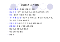 영유아 실외보육환경의 구성원리(이론, 외국사례) PPT 프레젠테이션-3
