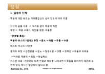 인행사 노년기(임종과 죽음, 노년기부적응, 사회복지실천) 보고서-13