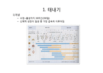 태내기 영유아기 아동발달 PPT 프레젠테이션-4