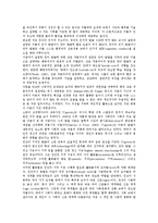 [리터러시][문식성][리터러시 발달유형][리터러시 발달관점][구성주의학습]리터러시(문식성)의 발달유형, 리터러시(문식성)의 발달관점, 리터러시(문식성)의 구성주의학습, 리터러시(문식성)의 비판적 학습 분석-4