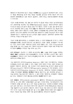 [시민사회][시민]시민사회의 정의, 시민사회의 형성, 시민사회의 부활(복지국가 실패), 시민사회의 자유주의(존 롤즈의 계약론적 자유주의), 시민사회의 분권화, 시민사회의 언론, 향후 시민사회의 개혁 방안 분석-10