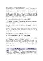 이비즈니스(인터넷비즈니스, E비즈니스, E-BIZ) 정의, 분류, 이비즈니스(인터넷비즈니스, E비즈니스, E-BIZ) 등장배경, 추진애로사항, 이비즈니스(인터넷비즈니스, E비즈니스) 리스크, 신디케이션, 광고마케팅-3