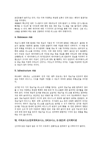 이비즈니스(인터넷비즈니스, E비즈니스, E-BIZ) 정의, 분류, 이비즈니스(인터넷비즈니스, E비즈니스, E-BIZ) 등장배경, 추진애로사항, 이비즈니스(인터넷비즈니스, E비즈니스) 리스크, 신디케이션, 광고마케팅-7