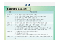 노년기삶의 이면(노인의 죽음과 호스피스, 노년기성, 노인의 성, 노인인권과 노인학대) PPT 프레젠테이션-6