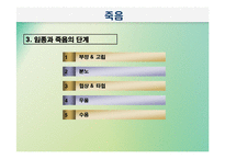 노년기삶의 이면(노인의 죽음과 호스피스, 노년기성, 노인의 성, 노인인권과 노인학대) PPT 프레젠테이션-7