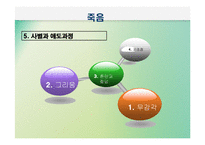 노년기삶의 이면(노인의 죽음과 호스피스, 노년기성, 노인의 성, 노인인권과 노인학대) PPT 프레젠테이션-12