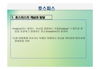 노년기삶의 이면(노인의 죽음과 호스피스, 노년기성, 노인의 성, 노인인권과 노인학대) PPT 프레젠테이션-14
