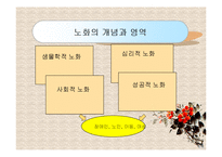 노인복지론(노화의 개념과 영역, 노화의 기초이론, 노년기 삶의 변화, 성공적노화) PPT 프레젠테이션-3