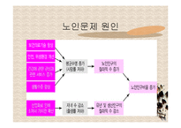 노인복지론(노화의 개념과 영역, 노화의 기초이론, 노년기 삶의 변화, 성공적노화) PPT 프레젠테이션-4
