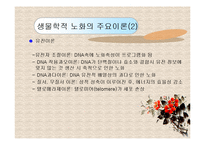 노인복지론(노화의 개념과 영역, 노화의 기초이론, 노년기 삶의 변화, 성공적노화) PPT 프레젠테이션-9