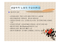 노인복지론(노화의 개념과 영역, 노화의 기초이론, 노년기 삶의 변화, 성공적노화) PPT 프레젠테이션-10