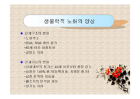 노인복지론(노화의 개념과 영역, 노화의 기초이론, 노년기 삶의 변화, 성공적노화) PPT 프레젠테이션-12
