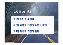기업의 국제화와 다국적 기업의 현황-2