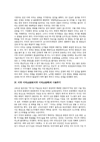 미국 이라크침공(미국 이라크침략)의 명분, 정당화, 미국 이라크침공(미국 이라크침략)의 사용무기, 중동정책, 미국 이라크침공(미국 이라크침략)의 이라크재건, 미국 이라크침공(미국 이라크침략)의 외국반응 분석-6