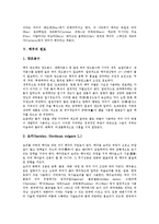 [맥주][주류][술][맥주 유형][맥주 연혁][맥주 어원][맥주 원료][맥주 제조][맥주 담그는법][비터맥주]맥주의 유형, 맥주의 연혁, 맥주의 어원, 맥주의 원료, 맥주의 제조, 맥주의 담그는법(비터맥주) 분석-4