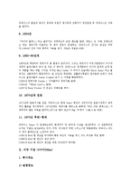 [미국 기업][미국][기업][리바이스][나이키][쓰리엠]미국 기업 리바이스(Levi`s), 미국 기업 나이키(Nike), 미국 기업 3M(쓰리엠), 미국 기업 아메리칸익스프레스, 미국 기업 월트 디즈니(Walt Disney) 분석-4