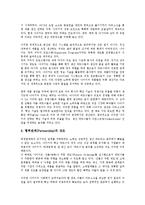 [미국 기업][미국][기업][리바이스][나이키][쓰리엠]미국 기업 리바이스(Levi`s), 미국 기업 나이키(Nike), 미국 기업 3M(쓰리엠), 미국 기업 아메리칸익스프레스, 미국 기업 월트 디즈니(Walt Disney) 분석-6
