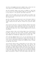 [홍보활동][PR활동][홍보][PR][사이버 홍보활동][대한민국임시정부 홍보활동][호텔][정부]사이버 홍보활동(PR활동), 대한민국임시정부 홍보활동(PR활동), 호텔 홍보활동(PR활동), 정부 홍보활동(PR활동)-2