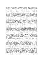 [홍보활동][PR활동][홍보][PR][사이버 홍보활동][대한민국임시정부 홍보활동][호텔][정부]사이버 홍보활동(PR활동), 대한민국임시정부 홍보활동(PR활동), 호텔 홍보활동(PR활동), 정부 홍보활동(PR활동)-5