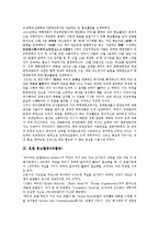 [홍보활동][PR활동][홍보][PR][사이버 홍보활동][대한민국임시정부 홍보활동][호텔][정부]사이버 홍보활동(PR활동), 대한민국임시정부 홍보활동(PR활동), 호텔 홍보활동(PR활동), 정부 홍보활동(PR활동)-6