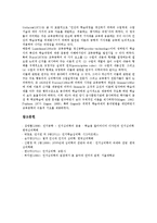 [인지심리학][인지][심리학][합리성][언어 연구][인지심리학자]인지심리학의 성격, 인지심리학의 중요성, 인지심리학의 합리성, 인지심리학의 대안적 구조, 인지심리학의 언어 연구, 인지심리학과 인지심리학자-9