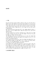 [놀이문화][놀이][문화][다양성]놀이문화의 필요성, 놀이문화의 다양성, 놀이문화와 놀이, 놀이문화와 놀이체험학습, 놀이문화와 디즈니(Disney), 놀이문화와 북한놀이문화, 향후 놀이문화의 대책 방안 분석-2