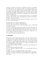[기업조정][기업][기업 고용조정][기업 이익조정][기업 구조조정][기업 통합조정지원시스템][ECSS][고용][구조조정]기업 고용조정, 기업 이익조정, 기업 구조조정, 기업 통합조정지원시스템(ECSS) 분석-11