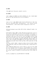 [기업][기술][기업 기초기술][기업 원천기술][기업 과학기술][기업 CDMA 기술][대역확산통신방식][기초기술][원천기술]기업 기초기술, 기업 원천기술, 기업 과학기술, 기업 CDMA(대역확산통신방식) 기술-14