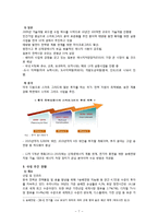 스마트그리드 개념과 추진현황분석및 스마트그리드의 필요성과 기대효과및 스마트그리드의 사회효과분석-8