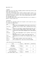 스마트그리드 개념과 추진현황분석및 스마트그리드의 필요성과 기대효과및 스마트그리드의 사회효과분석-9