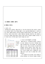 BENEFIT 베네피트 브랜드분석과 마케팅전략분석및 에뛰드하우스,바비브라운 마케팅전략과 비교분석-8
