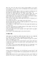 [기업광고][기업광고 모델][기업광고 스포츠마케팅][기업광고 전략]기업광고의 분류, 기업광고의 특징, 기업광고의 구조, 기업광고의 발전과정, 기업광고의 모델, 기업광고의 스포츠마케팅, 기업광고의 전략 분석-15