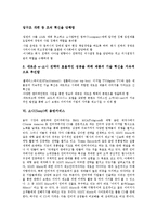 [소니]소니(Sony)의 영역, 소니(Sony)의 엔터테인먼트, 소니(Sony)의 디지털사업, 소니(Sony)의 E비즈니스(E-biz, 이즈니스), 소니(Sony)의 음반서비스, 소니(Sony)의 미국진출, 소니(Sony)의 전략 분석-6
