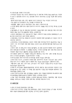 [기업 시장 전략][다국적 미디어기업 시장 전략][초국적 기업 시장 전략][문화컨텐츠기업 시장 전략]다국적 미디어기업 시장 전략, 초국적 기업 시장전략, 문화컨텐츠기업 시장전략, 중소기업 시장전략 분석-9