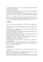 [기업 시장 전략][다국적 미디어기업 시장 전략][초국적 기업 시장 전략][문화컨텐츠기업 시장 전략]다국적 미디어기업 시장 전략, 초국적 기업 시장전략, 문화컨텐츠기업 시장전략, 중소기업 시장전략 분석-10