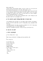 [기업 시장 전략][다국적 미디어기업 시장 전략][초국적 기업 시장 전략][문화컨텐츠기업 시장 전략]다국적 미디어기업 시장 전략, 초국적 기업 시장전략, 문화컨텐츠기업 시장전략, 중소기업 시장전략 분석-12