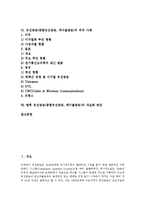 유선방송(종합유선방송, 케이블방송)의 도입, 융합, 유선방송(종합유선방송, 케이블방송)의 방송법시행령, 유선방송(종합유선방송, 케이블방송) 외국 사례, 향후 유선방송(종합유선방송, 케이블방송) 내실화 방안-2
