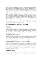 유선방송(종합유선방송, 케이블방송)의 도입, 융합, 유선방송(종합유선방송, 케이블방송)의 방송법시행령, 유선방송(종합유선방송, 케이블방송) 외국 사례, 향후 유선방송(종합유선방송, 케이블방송) 내실화 방안-6