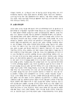 [경영전략][품질경영전략][지식경영전략][브랜드경영전략][기업경영전략][디지털경영전략][신경영전략][지식경영]품질경영전략, 지식경영전략, 브랜드경영전략, 기업경영전략, 디지털경영전략, 신경영전략 분석-8