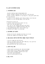 노동자 정치세력화와 프레임, 노동자 정치세력화와 시민사회, 노동자 정치세력화와 노동운동, 노동자 정치세력화와 민주노동당, 노동자 정치세력화 스웨덴 사례, 노동자 정치세력화 문제점, 노동자 정치세력화 과제-8
