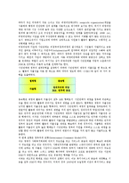 비정부기구(시민단체, NGO)와 정부 협력중요성, 비정부기구(시민단체, NGO)와 정부 협조모형, 비정부기구(시민단체, NGO)와 정부 재정지원체제, 비정부기구(시민단체, NGO)와 정부 쟁점, 내실화 과제 분석-7