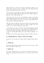 [E-BIZ]E-BIZ(인터넷비즈니스, 이비즈니스, E비즈니스)의 경쟁력, 장애요인, E-BIZ(인터넷비즈니스, 이비즈니스, E비즈니스)의 현황, 재무관리, E-BIZ(인터넷비즈니스, 이비즈니스, E비즈니스)의 실천 방향 분석-7