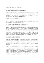 브랜드자산관리(상표관리, 브랜드관리)의 정의, 의의, 브랜드자산관리(상표관리, 브랜드관리)의 과정, 항목, 브랜드자산관리(상표관리, 브랜드관리)의 유의사항, 사례, 브랜드자산관리(상표관리, 브랜드관리) 전략-7