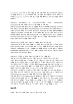 [중소기업IT화]중소기업 IT화(중소기업 정보화)의 수준, 인트라넷, 중소기업 IT화(중소기업 정보화)의 현황, 홈페이지 구축, 중소기업 IT화(중소기업 정보화) 정책자금지원, 중소기업 IT화(중소기업 정보화) 전략-13