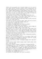 [SK][SK그룹][기업][인재상][CI]SK(SK그룹)의 연혁, SK(SK그룹)의 인재상, SK(SK그룹)의 CI(로고마크), SK(SK그룹)의 현황, SK(SK그룹)의 내부거래, SK(SK그룹)의 사업영역, SK(SK그룹)의 인터넷사업 분석-12